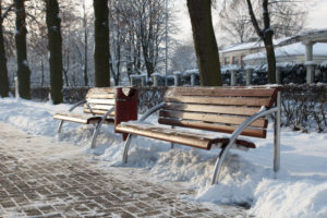 Winterdienst im Park
